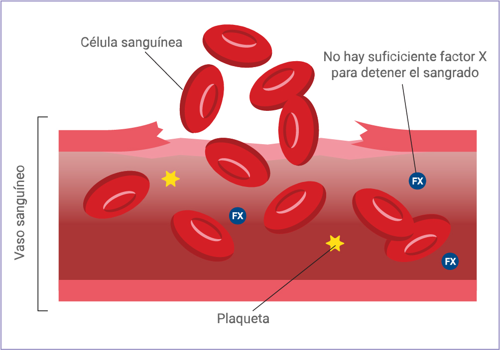 Vaso sanguíneo